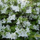 을숙도 철새공원 이미지