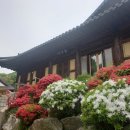 중앙승가대학교 대학원 | 김포 금정사/중앙승가대학교 다녀온 후기 feat.강아지/부처님오신날