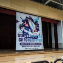 존프랭클 위즈덤 주짓수 이미지