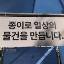 페이퍼팝 캣펀치 - 고양이 두더지 놀이 장난감 후기
