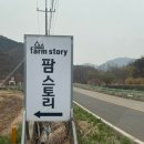 애견스토리 | 청도 글램핑 ‘팜스토리’ 후기, 청도 애견 글램핑 가능한 청도 숙소