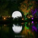 (주)영주고려관광