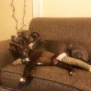 견생역전