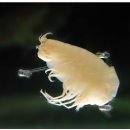 물고기세상 이미지