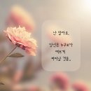 진에스테틱 이미지