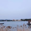 오목낚시터(신창낚시터) 이미지