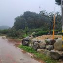 화진포둘레길(원당리) 이미지