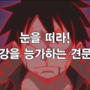 (주)해적아일랜드 네이버블로그
