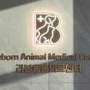 리본 동물병원 이미지