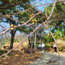 제주불교성지 순례길 절로 가는길 - 보시의 길 이미지