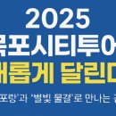 별빛물결시티투어 이미지