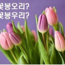 꽃봉우리 이미지