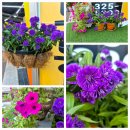 삼천리2차A 경로당 | 반달마을 소액투자 ,1기신도시 통합재건축 선정단지-반달마을투자 전문 탑부동산