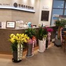 프라임연세의원 이미지