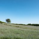 태인목장 이미지