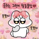 치항병원 이미지