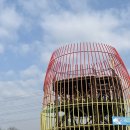 산수유사이길사이로식당앞 이미지