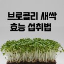 현대자동차 무안점 | 2026년 02월26일(목)☀️🌤🌤