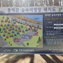 동백관 숲속야영장 이용후기｜조용한 자연 속 힐링 캠핑 후기
