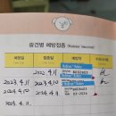 힐링페츠