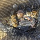 비치파크모텔 이미지