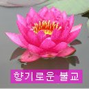 스님+며느리(2) 이미지