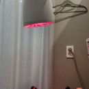 헤이븐동물병원 | 사랑니와의 전쟁, 상처뿐인 승리