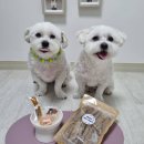 나니스펫푸드 이미지