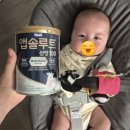 앱솔루트 산양100 후기