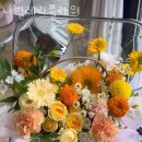 나빌레라플라워