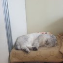 다솜메디컬 이미지