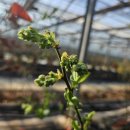 영란농장 이미지