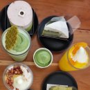 초록빛하루 이미지