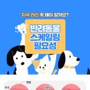 뉴케어 동물병원 이미지