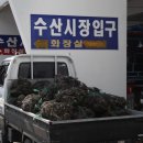 대천항식품 네이버블로그