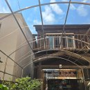 설악산 막국수 | 포항 설악산 막국수 맛집후기