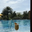 세진하나로마트 | 푸꾸옥 풀만 리조트 내돈내산 후기 수영장 셔틀 샤워필터