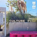 전북 부안 여행 빵지순례 맛있는 빵집 곰소염전 슬지제빵소 카페