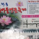 수완동 왕버들 Daum카페