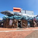 지에스25 울산장생포 이미지