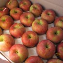 스위트-원 이미지