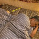 모두의 집사 이미지