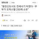 “동탄신도시도 전세사기 터졌다···부부가 오피스텔 250채 소유” 이미지