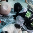 그린약품 이미지