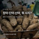 천마수산 | 장마 단마 산마 차이, 마즙 레시피와 손질법