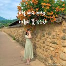 대봉1동 행정복지센터 이미지