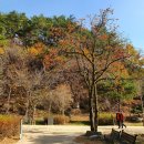 문경새재 도립공원 이미지