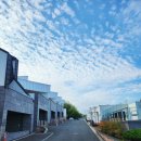 오션테라 이미지