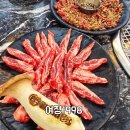 용황애견 | 경주 가성비 한우 소고기 맛집 실내 애견동반 식당 여정1998