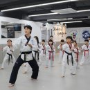 드림아이태권도 시선뉴스